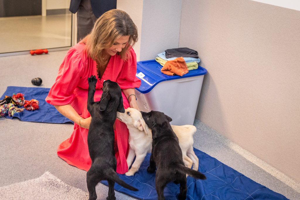 Princess Martha Louise Of Norway Opens The Nabp Blind Dogs Centre